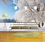 wall26 粘着式 大型壁の壁画シリーズ 壁紙  66"x96" WMR-WP-X-C429-66x24x4