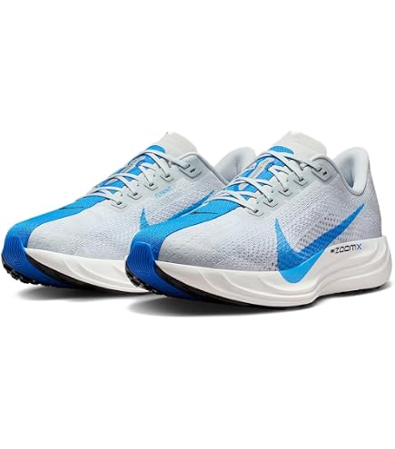 Amazon.co.jp: NIKE ナイキ 28.0cm ペガサス 40 プレミアム Pegasus 40