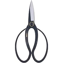 61XuoXi2SeL._AC_UL210_SR210,