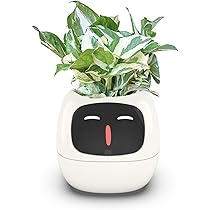 スマートプランター アイビー Smart planter Ivy 新生活 お友達 5249-thum1.jpg