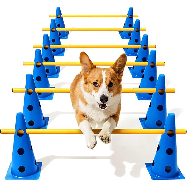 Amazon | Canine Rehabilitation and Physical Therapy | Millis MS