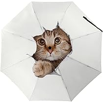 61XvcyhC0yL._AC_UL210_SR210,