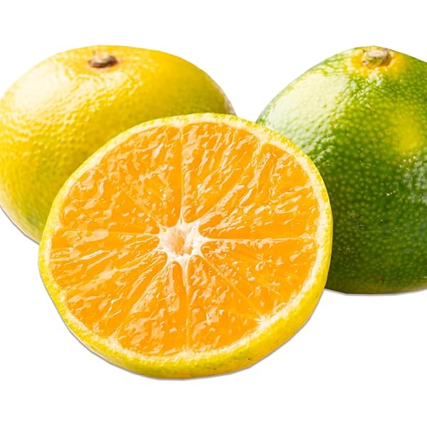 みかんページ 新商品できました😀 1970年代発売のつぶオレンジみかん🍊が50年