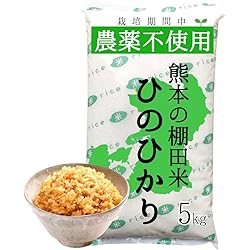 Amazon.co.jp: 【令和7年新米】無農薬 玄米 コシヒカリ 熊本県産 無