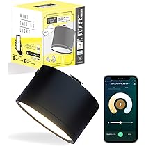 Amazon.co.jp: エジソンスマート ミニシーリングライト (ダクト