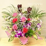 12月限定　デザイナーにおまかせデンファレと季節のお花のフラワーアレンジ（生花） FL-12GT-7
