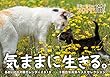 あおいとりの猫カレンダー2019 気ままに生きる。 (セイセイシャカレンダー2019)