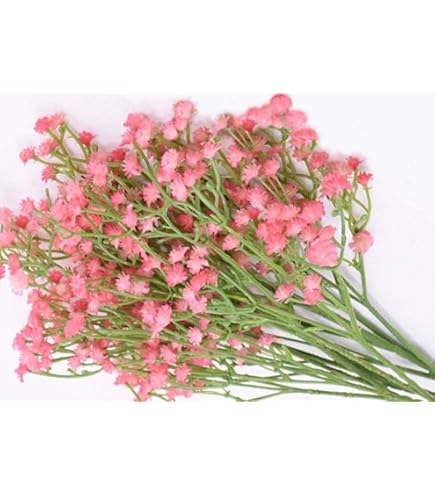 Amazon.co.jp: 人工的な葦の草、人工的な乾燥した葦の草の花瓶の注入口