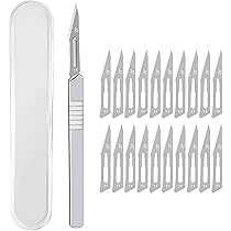 Amazon.co.jp: フェザー 青函 両刃 10枚入 (箱) : ビューティー