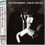 �f�B�X�E�C�Y�E�U�E�V�[(�f���b�N�X�E�o�[�W����)