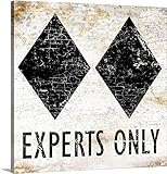 Peter Horjusプレミアムシックラップキャンバス壁アート印刷題名experts only sign 36" x 36" 2289853_24_36x36_none