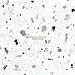 Oblivion Hymns [12 inch Analog]