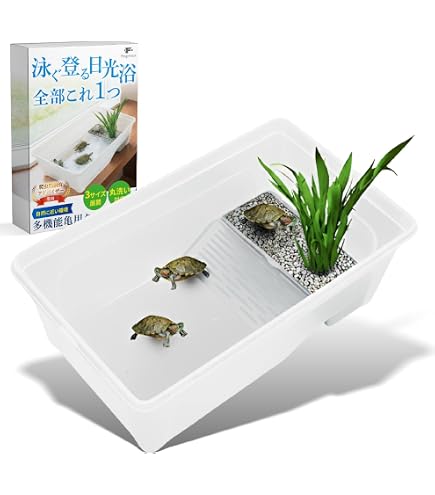Amazon | ジェックス カメ元気 はじめて飼育セット | GEX | 飼育ケース