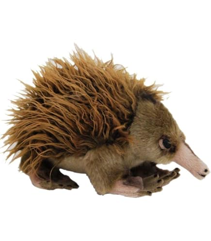 Pocketkins Eco Echidna Plush Wild Republic - $7.95 - Jeannie's Cottage