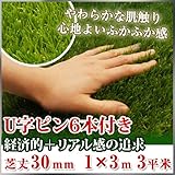 Liebe【リーベ】 人工芝 芝丈30mm 1m×3m ［7.5kg／3平米］ + U字ピン6本 『パークシア・エコノミー』
