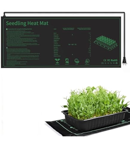 Amazon.co.jp: マイコン電気発芽器 発芽美人 HP-70 ライトグレー : DIY