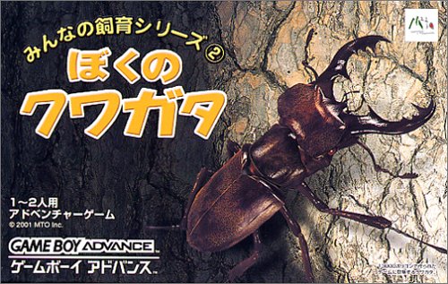 みんなの飼育シリーズ(2) ぼくのクワガタ