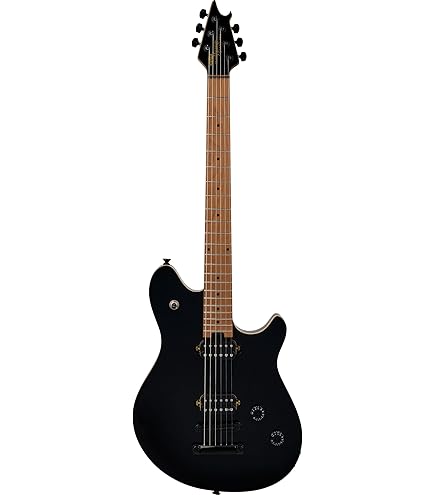 Amazon | EVH / 5150 Series Standard Ebony Fingerboard Stealth