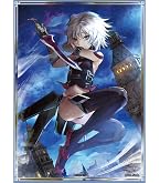 Amazon | ブロッコリーキャラクタースリーブ Fate/Grand Order