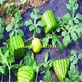 ビッグセールオリジナルパック30種子/パック、フルーツの種子ポットウォーターメロン、ブラックビューティースイカの種、スイカの種