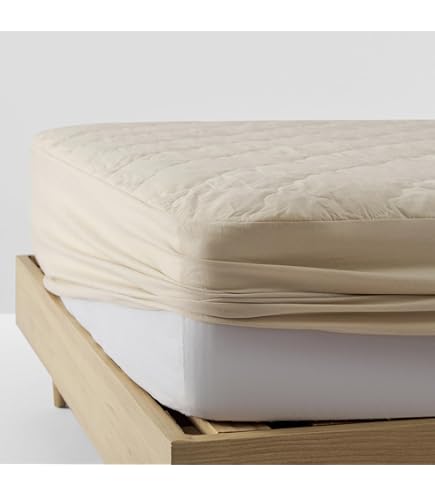 アシモクラフツ×ネルデザインワークス 10周年記念マイスターシート Amazon.co.jp: アシモクラフツ×ネルデザインワークス 10周年記念