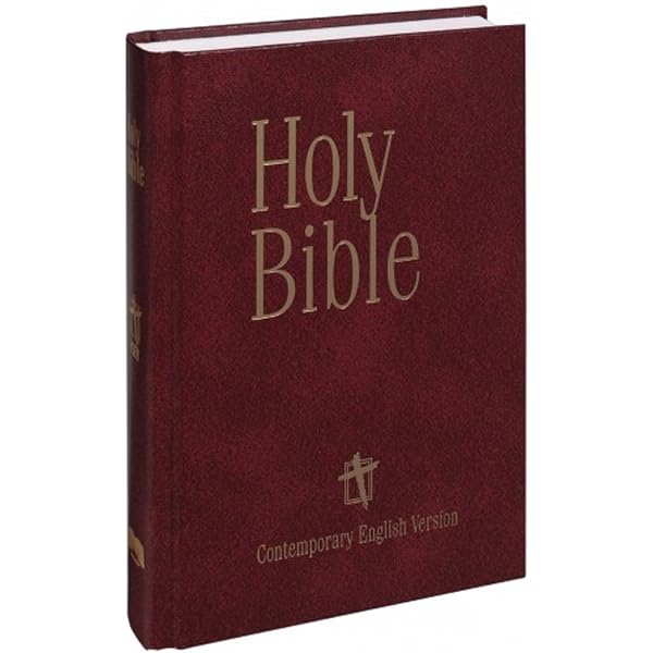 英語勉強】【大型聖書】 CEV BIBLE LP American Bible 英語勉強