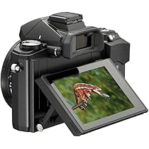 Amazon | OLYMPUS デジタルカメラ STYLUS1用 革カメラケース CSCH-118