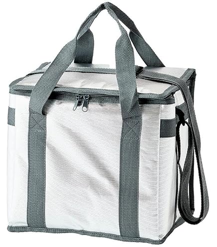 Amazon | カインズ(CAINZ) アルミクーラーバッグ M | カインズ