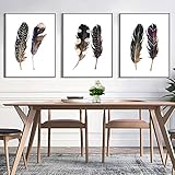 qinshop2017現代壁アートフェザー画像ホームオフィス壁のデコレーションアートワーク 15.75 x 19.69 inch qinshop123