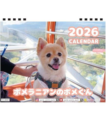 Amazon | 【予約販売】 ポメラニアンのポメくん 犬 2026年 壁掛け