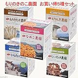 (観葉)きのこ栽培キット もりのきのこ農園 お買い得5種セット(しいたけ・えりんぎ・なめこ・ひらたけ・えのきたけ) 家庭菜園 本州・四国限定[生体]