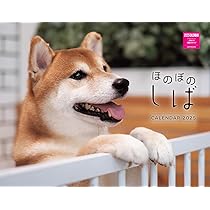 I LOVE しばカレンダー 2025（月めくり/壁掛け） (ネコ