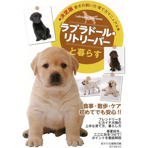 ラブラドールページ Amazon.co.jp: もっと楽しい ラブラドール・レトリーバーライフ : 愛犬