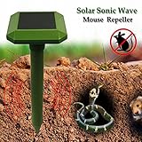 Desktopstreaming 技術太陽光発電 Sonic Wave マウスヘビリベラは屋外の庭に動物エキスペラー