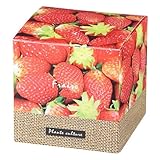 Euvo Design Plante culture ワイルドストロベリー PC90026