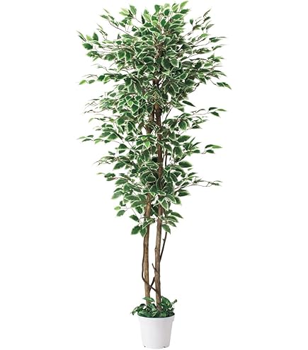光触媒　人工観葉植物　ウォールグリーン　フェイクグリーン　ベンジャミン180 光触媒 人工観葉植物 ベンジャミン フェイクグリーン 大型