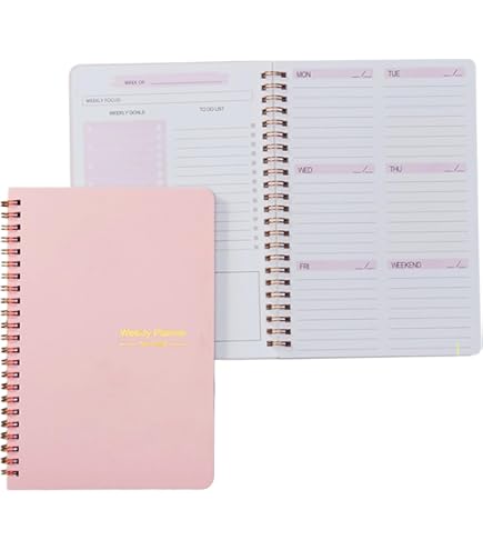 Atelier Dorf 2023 Diary スケジュール帳 Amazon.co.jp: 加藤あいり Atelier Dorf 2025 Diary