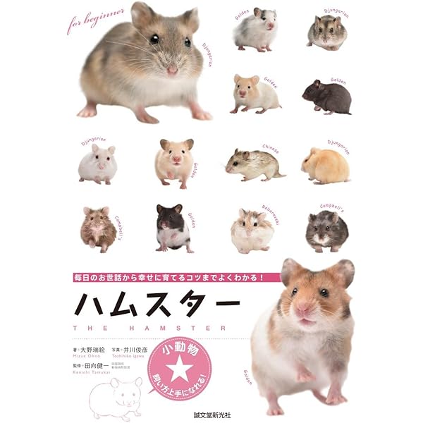 ハムスタ- (超はっけん大図鑑 2) |本 | 通販 | Amazon