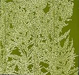 Alcachofa [12 inch Analog]