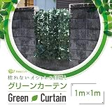 グリーンフェンス 日よけ グリーンカーテン 目隠し 100cm×100cm D