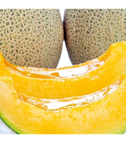 Amazon.co.jp: 北海道夕張産 夕張メロン6玉（共撰・優品・8kg） : 食品