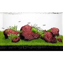 Amazon | LANDEN レッド溶岩石 アクアスケープ テラリウム