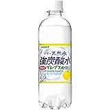 サンガリア 伊賀の天然水 強炭酸水 グレープフルーツ 500ml ×24本