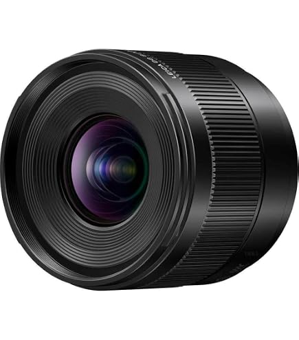 Panasonic LUMIX Micro Four Thirds Camera Lens, Leica DG SUMMILUX