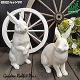 2匹が楽しくお話しているみたい♪笑ったような表情が可愛い♪ガーデンラビット ペア　kt32