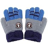 Domybest 手袋 ミトン 秋冬 キッズ手袋 子供用 グローブ 5本指 女の子 男の子 防寒 通学 通園 2-6歳に適用 おしゃれ 雪遊び お散歩 プレゼント 3色