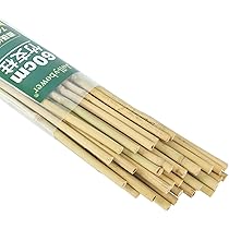 天然 竹 6本 お買い得セット （＾∇＾） Amazon | Jollybower 30本セット天然竹支柱 60cm 女竹 篠竹 め