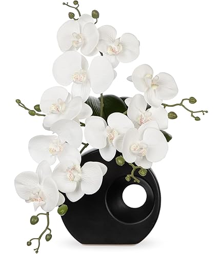 レンデフロール プリザーブドフラワー 置物 胡蝶蘭 薔薇 スノードーム型