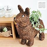 LAND PLANTS 【ガーデニング用品】 耳の立ったカワイイわんこのバスケット ケニス テリア