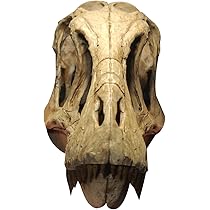 世界に一つ!!　ティラノサウルス・レックス　1/10 木彫頭骨模型16.5cm 世界に一つ、不世出！ティラノサウルス・レックス 頭骨 1/10